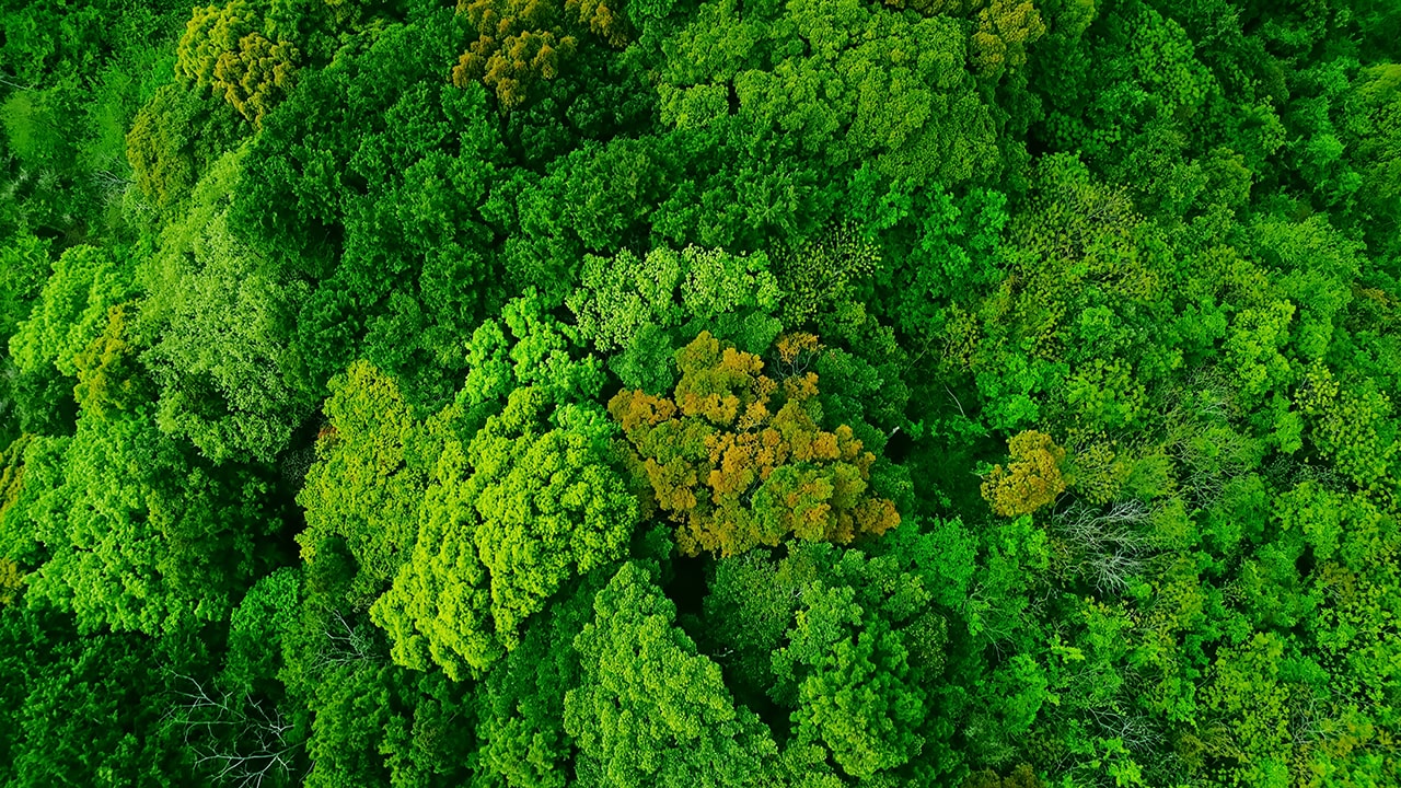 Qu'est-ce que la décarbonation ?